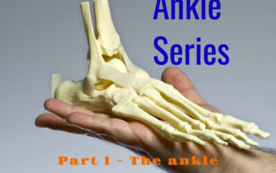 The Ankle and its Role in Walking