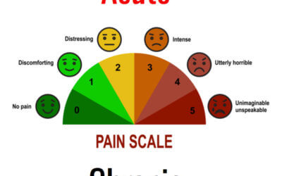 Acute and Chronic Pain