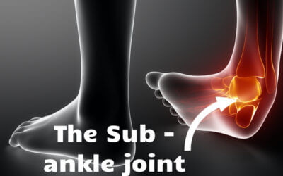 The Second Ankle Joint