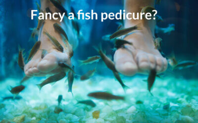 The Fish Pedicure – good or bad?