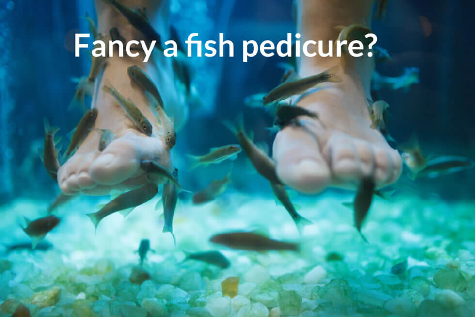 the-fish-pedicure-good-or-bad-consulting-footpain